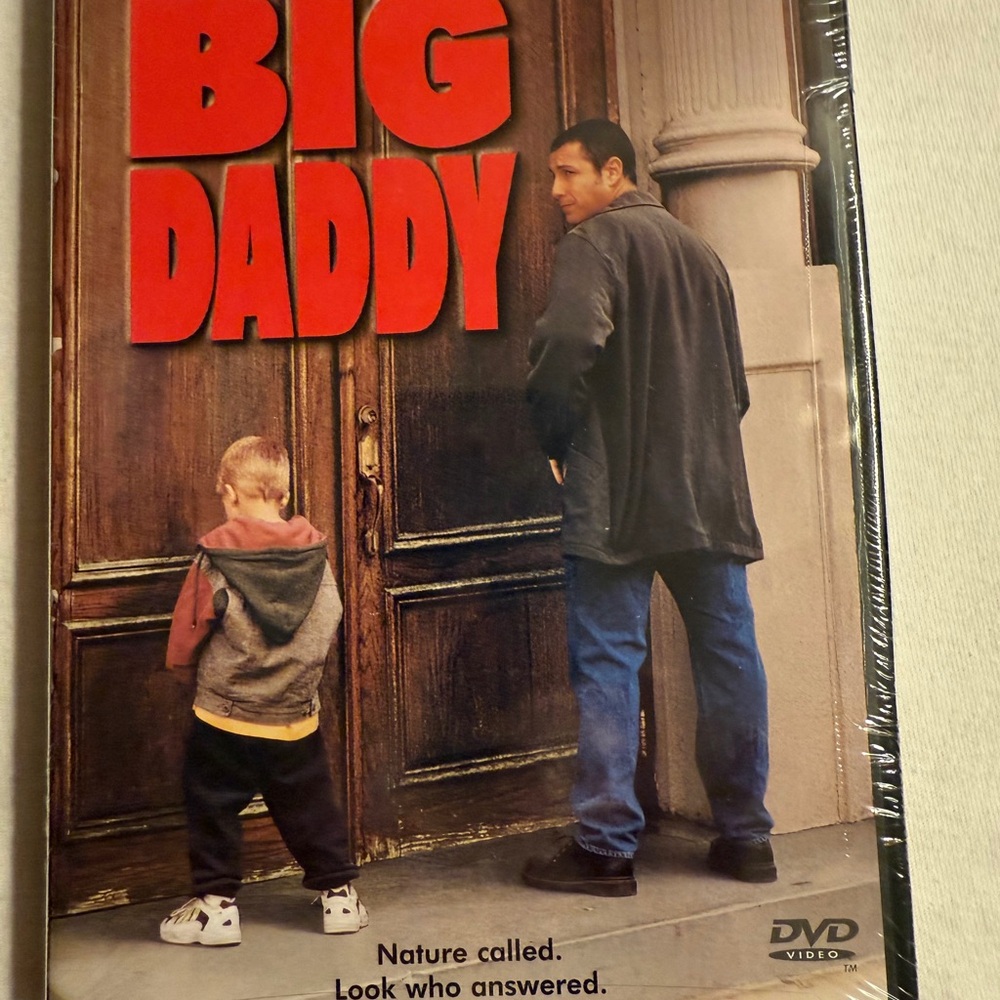 Big Daddy DVD